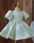 baby girl occasion dress for special long sleeve فستان يومي