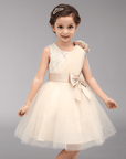 baby girl occasion dress, wedding, birthday and eid short sleeve
فستان قصير بنات راقي للمناسبات و الحفلات والعيد و يومي