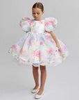 baby girl occasion dress, wedding, birthday and eid short sleeve
فستان قصير بنات راقي للمناسبات و الحفلات والعيد و يومي