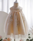 baby girl occasion dresses for special short sleeve pink color with detail