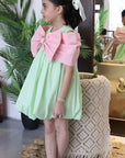 Little Girl Elegant Dress for Special Occasions فستان بنات راقي للحفلات