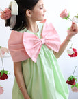 Little Girl Elegant Dress for Special Occasions فستان بنات راقي للحفلات