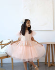 luxury occasions or everyday wear dress for little girl and toddler, kids wear Dresses