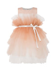 girls fluffy brown party dress for occasions and celebrations