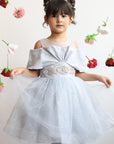luxury Gray wedding occasion girl dress فستان اعراس للاطفال