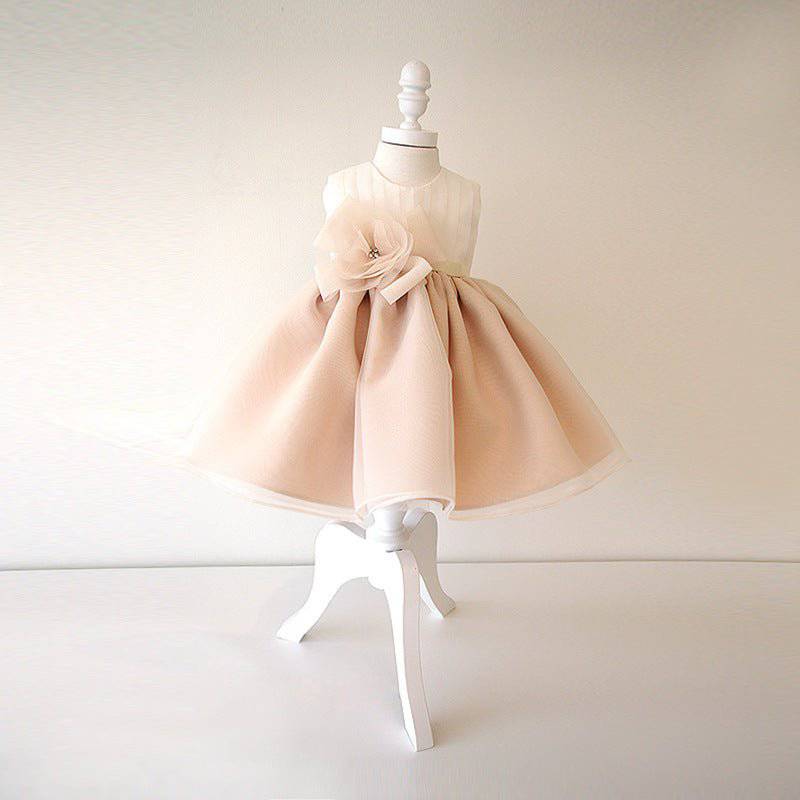 Elegant girl baby dress فستان اطفال راقي