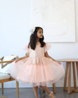 luxury occasions or everyday wear dress  for little girl  and  toddler, kids wear Dresses