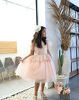 luxury occasions or everyday wear dress  for little girl  and  toddler, kids wear Dresses