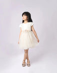 classic French girls occasion dress, luxury girl party dress,