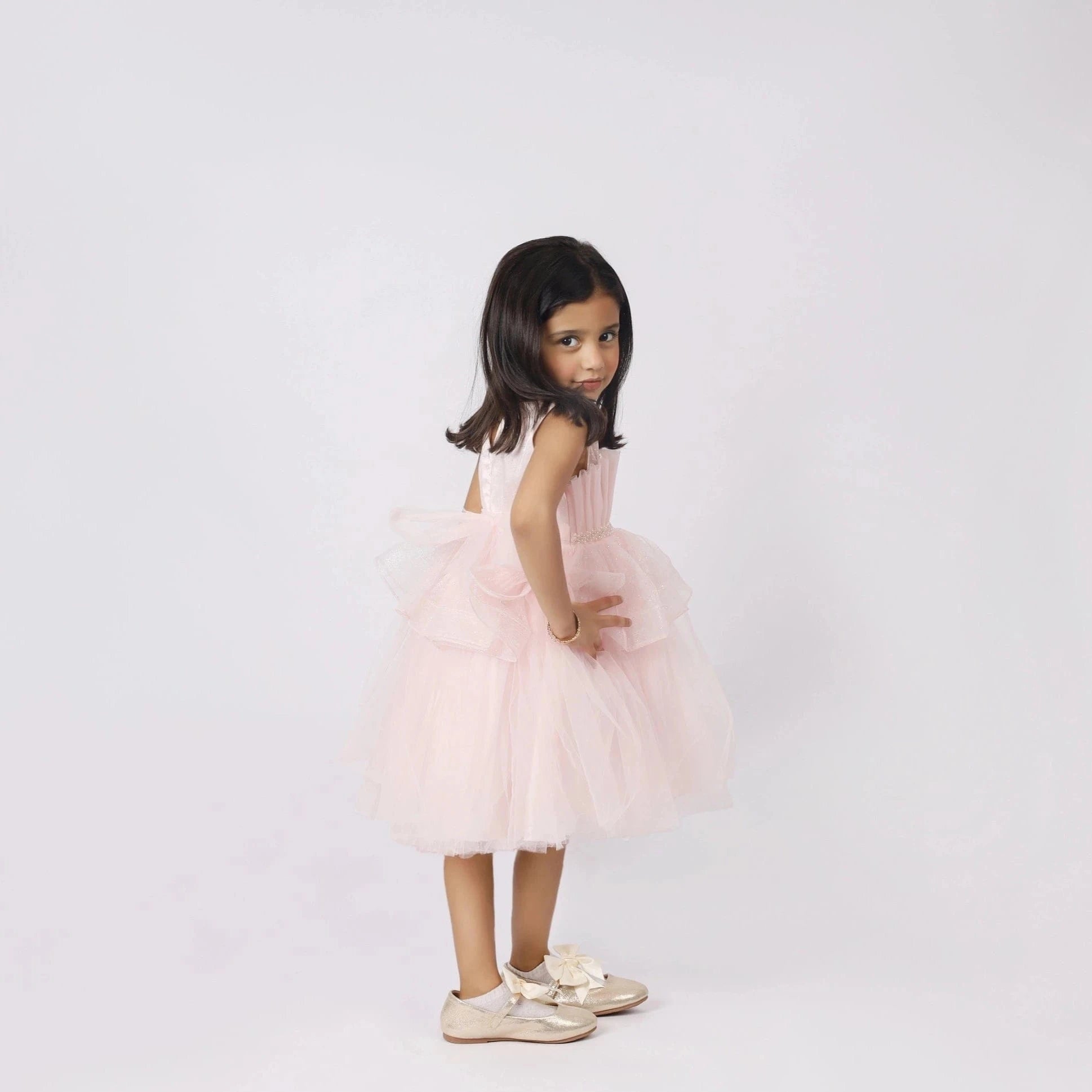 Girls Special Occasion Dress | Princess